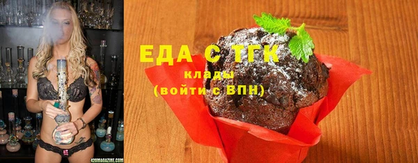 индика Коряжма