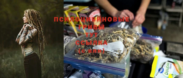 амф Алексин