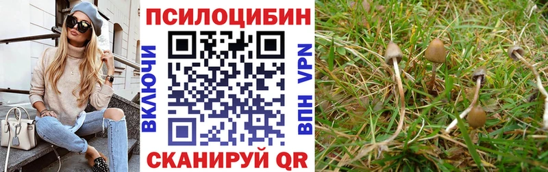 Галлюциногенные грибы GOLDEN TEACHER  Сортавала 